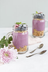 Zwei Gläser Joghurt mit Erdnussgranola, Aroniapulver und einem Topping aus gehackten Haselnüssen und gefrorenen Beeren - JUNF01302