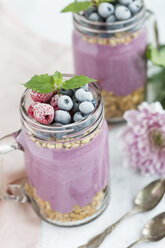 Two glasses of yoghurt with peanut granola, aronia powder and topping of hazelnuts and frosted berries - JUNF01304