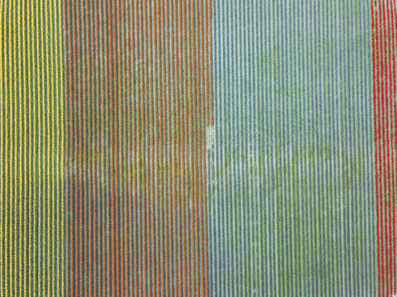 USA, Washington State, Skagit Valley, Aerial view of tulip fields - MMAF00598