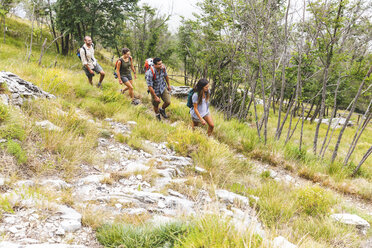 Italy, Massa, group of young people hiking in the Alpi Apuane mountains - WPEF00831