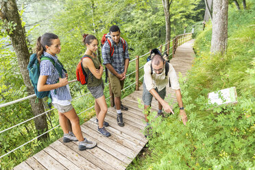 Italien, Massa, Biologe erklärt Informationen über die lokale Flora in den Alpi Apuane - WPEF00879