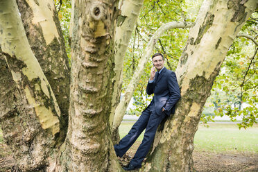 Geschäftsmann mit Mobiltelefon an einem Baum - MOEF01407