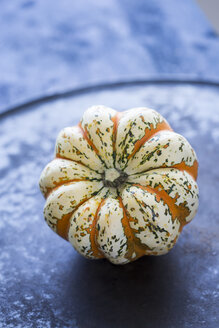 Ornamental pumpkin - JUNF01314