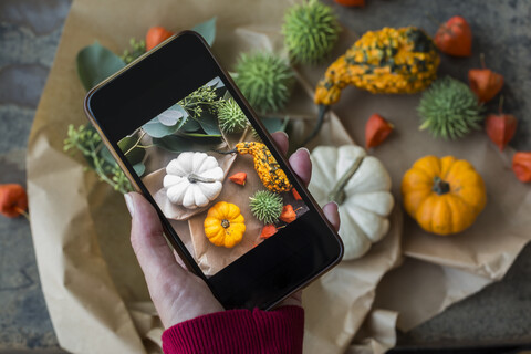 Herbstliche Dekoration, Zierkürbisse, Frau fotografiert mit Smartphone, lizenzfreies Stockfoto