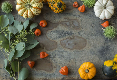 Herbstliche Dekoration, Zierkürbisse, lizenzfreies Stockfoto
