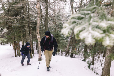 Freunde in voller Länge mit Wanderstöcken bei der Erkundung des Waldes im Winter - CAVF49021