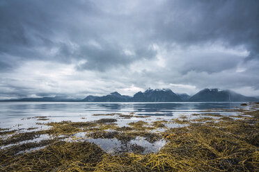 Norwegen, Lappland, Nordkap - KKAF02290