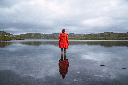 Young man standing ankle deep in water, looking at distance, rear view - KKAF02310