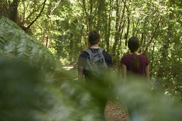 Spanien, Kanarische Inseln, La Palma, Rückansicht eines Paares beim Spaziergang durch einen Wald - PACF00146