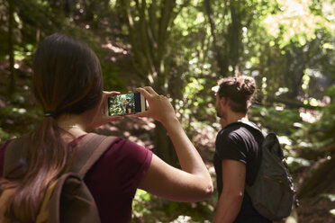 Spanien, Kanarische Inseln, La Palma, Frau fotografiert ihren Freund mit dem Handy in einem Wald - PACF00158