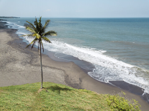 Indonesien, Bali, Yeh Gangga Strand, eine Palme, lizenzfreies Stockfoto
