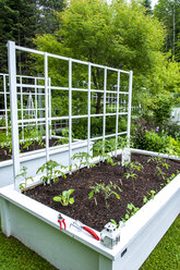 Containerhochbeet mit Tomaten und anderem Gemüse, Chester, Nova Scotia, Kanada - AURF07679