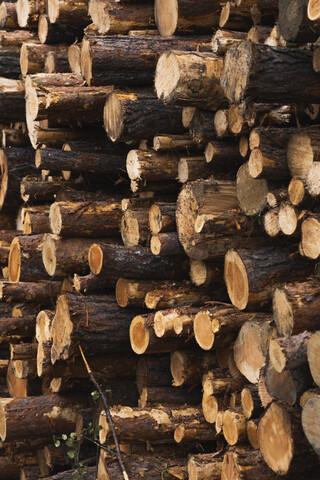 Stack of wood stock photo