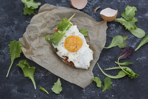 Fried egg on slice of brown bread coated with paprika cream stock photo