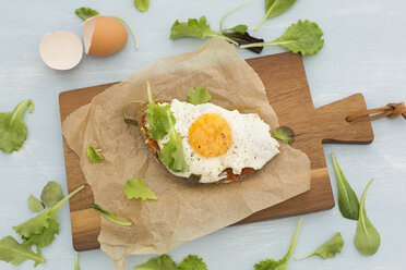 Fried egg on slice of brown bread coated with paprika cream - JUNF01366