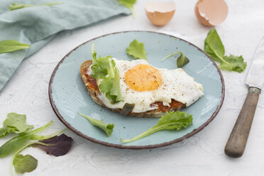 Fried egg on slice of brown bread coated with paprika cream on plate - JUNF01368