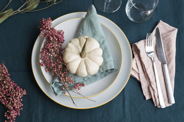 Autumnal table decoration with white decorative gourd and pink peppercorns - JUNF01381