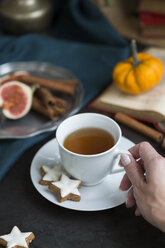 Frau trinkt eine Tasse Tee im Herbst, Nahaufnahme - JUNF01400