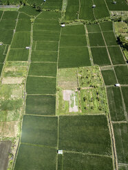 Indonesia, Bali, Aerial view of Sanur, rice fields - KNTF01948