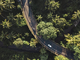 Indonesien, Bali, Ubud, Luftaufnahme der Brücke - KNTF01983