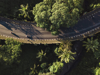 Indonesien, Bali, Ubud, Luftaufnahme der Brücke - KNTF01984