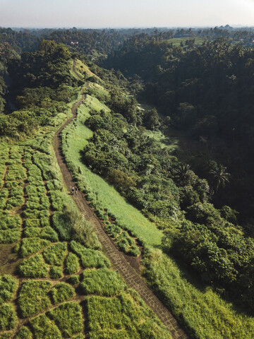 Indonesien, Bali, Ubud, Luftaufnahme eines Weges in den Hügeln, lizenzfreies Stockfoto