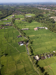 Indonesien, Bali, Ubud, Luftaufnahme von Reisfeldern - KNTF02005