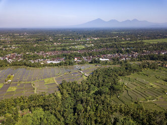 Indonesien, Bali, Ubud, Luftaufnahme von Reisfeldern - KNTF02011