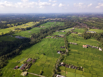 Indonesien, Bali, Ubud, Luftaufnahme von Reisfeldern - KNTF02013