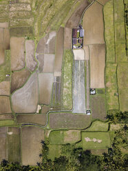 Indonesien, Bali, Ubud, Luftaufnahme von Reisfeldern - KNTF02021