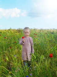 Child in wildflower field, Copenhagen, Hovedstaden, Denmark - CUF44235
