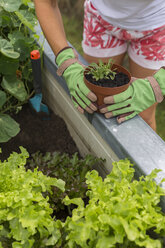 Nahaufnahme einer Frau bei der Gartenarbeit im Hochbeet - JUNF01464