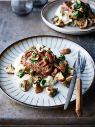 Filetsteak mit Champignons und Blumenkohl und Meerrettichpüree, Nahaufnahme - CUF44578