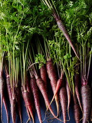 Still life of purple carrots, overhead view - CUF44620