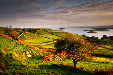 Landschaftliche Ansicht, Lough Corrib im Herbst, Cong, Mayo, Irland - CUF44807