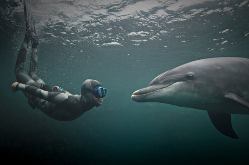 Frau beim Freitauchen mit Großem Tümmler (Tursiops truncatus), Doolin, Clare, Irland - CUF44814