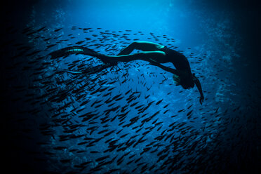 Woman freediving, underwater view, Swallow Cave, Vavau, Tonga, Fiji - CUF44868