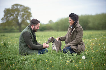 Frau und Mann knien nieder, um einen Hund auf einem Feld zu streicheln - CUF44945