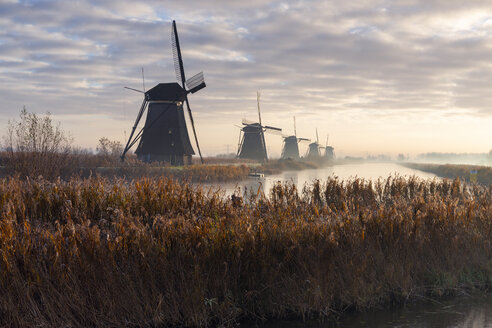 Netherlands, Holland, Rotterdam, Kinderdijk - RPSF00243