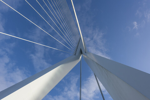 Niederlande, Rotterdam, Erasmusbrug, Ansicht aus der Froschperspektive, lizenzfreies Stockfoto