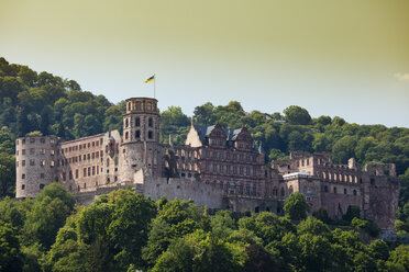 Deutschland, Baden Württemberg, Heidelberg, Heidelberger Schloss - WIF03628