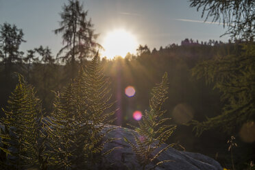 Österreich, Ausseer Land, Landschaft mit Bergen - HAMF00394