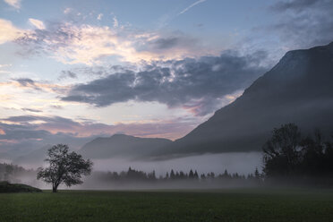 Austria, Ausseer Land, Landscape in morning mist - HAMF00396