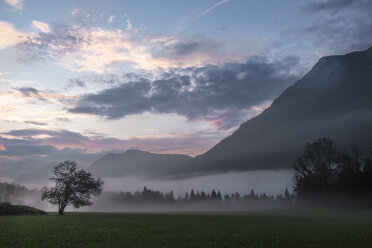 Österreich, Ausseer Land, Landschaft im Morgennebel - HAMF00396