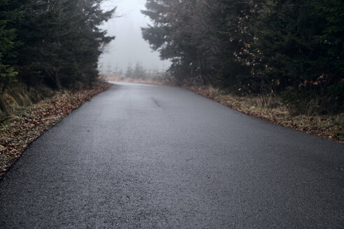 Bulgarien, nasser Asphalt nach Regen durch den Wald - BZF00464