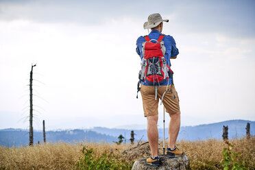 Rückansicht eines auf einem Baumstumpf stehenden Mannes während einer Wanderung - BSZF00692