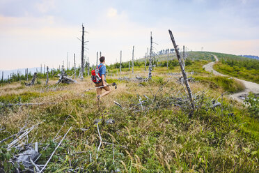 Back view of man hiking in the mountains - BSZF00755