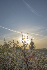 Deutschland, Oberbayern, Burghausen, Kirchturm der Pfarrkirche St. Jakob und blühender Baum im Frühling - HAMF00400