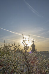 Germany, Upper Bavaria, Burghausen, spire of Parish Church St. Jakob and flowering tree in spring - HAMF00400
