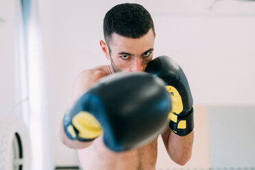 Porträt eines Mannes mit Boxhandschuhen, der in die Kamera schaut - CUF45253